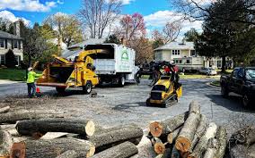 Best Hazardous Tree Removal  in Coleman, TX